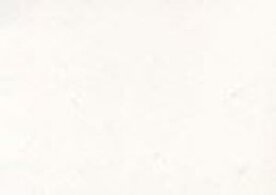 Amazona Krijtverf Blanc-de-Blanc