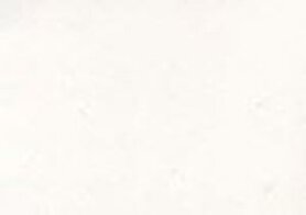 Amazona Krijtverf Blanc-de-Blanc