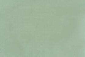 Amazona Krijtverf Evergreen